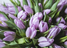 Поздравляем с 8 марта!